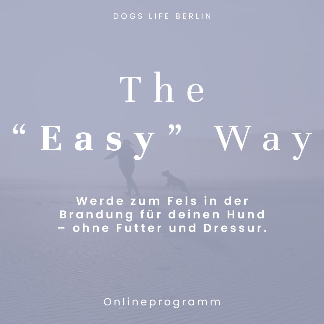 Grafik zum Onlinekurs The Easy Way